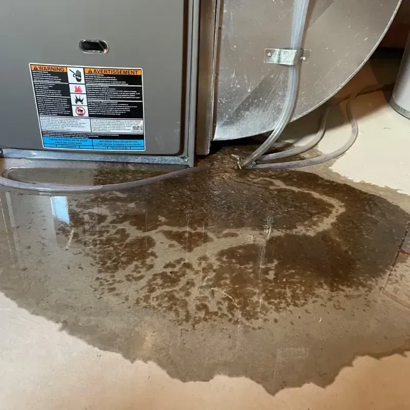 Appliance Leak Cleanup in Noe Valley, CA